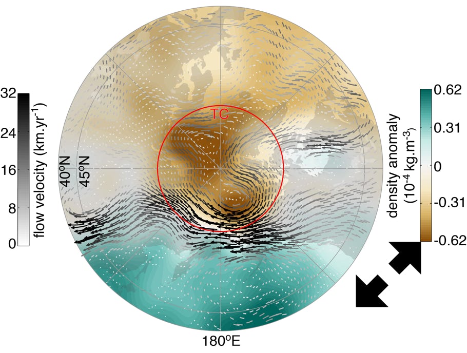 North polar view of Earth's core surface flow and density anomaly