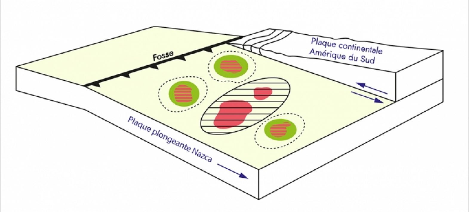 Ruptures sismiques et séismes lents en zones de subduction