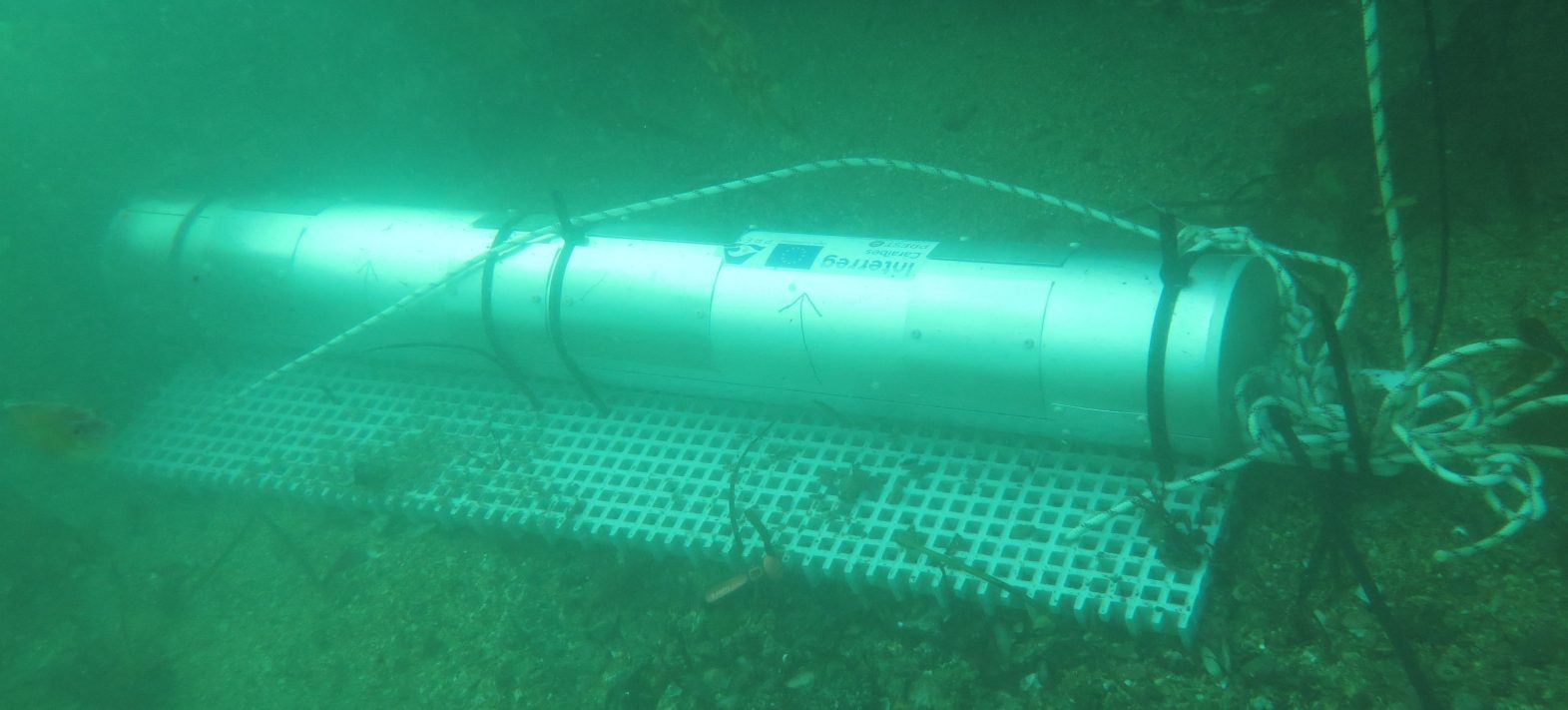 A connected seabed observatory to study seismicity in Les Saintes