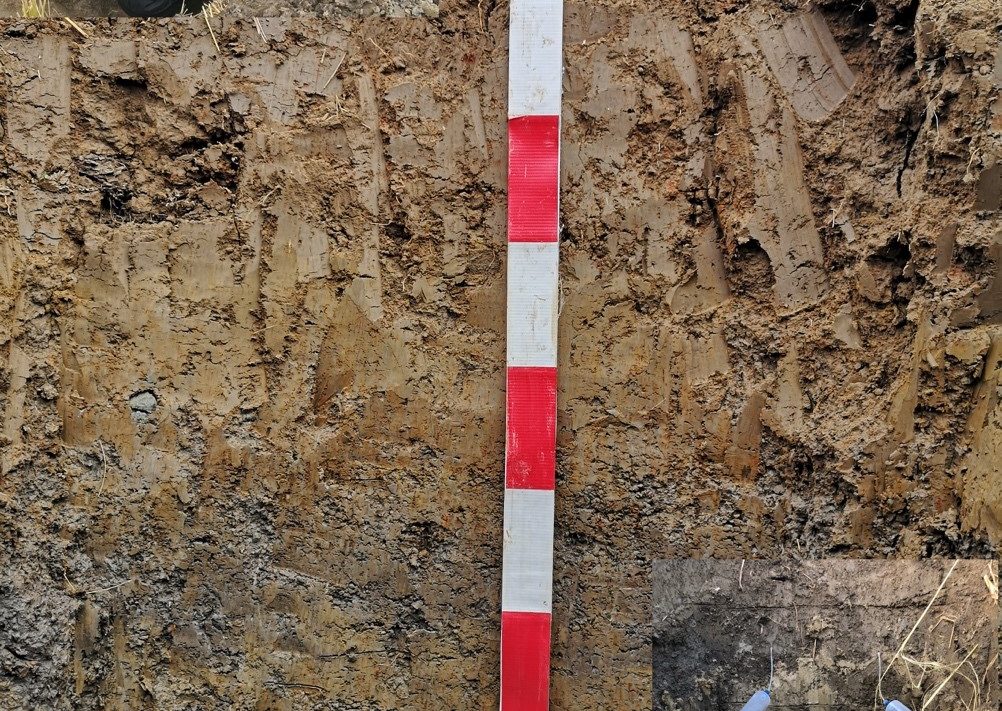 Géochimie des métaux traces associés aux nodules de Fe-Mn (FMN) dans des profils de sols rouges en Chine.