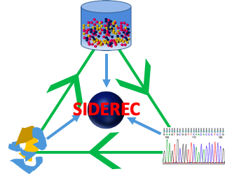 Siderophores assisted Biorecovery of Technology Critical Elements: Gallium (Ga), germanium (Ge) and indium (In) from end-of-life products (SIDEREC)