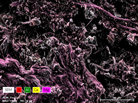 Study of the biodegradation mechanisms of cementitious matrices: Application to asbestos cement waste