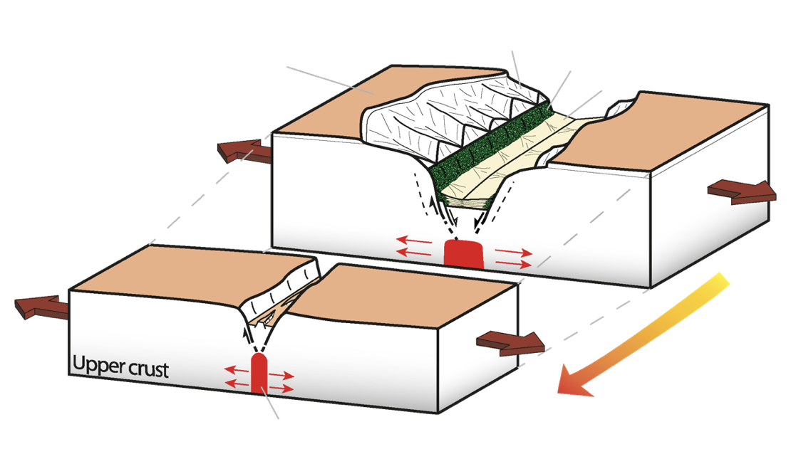 Seismo-tectonic study of the seismic sources detected by the InSight mission in the Elysium Planitia province, Mars