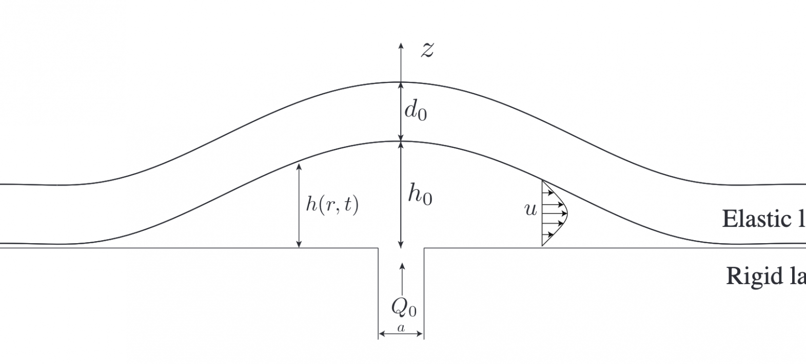 Dynamics of shallow magmatic intrusions: theory and application to the detection of planetary intrusion