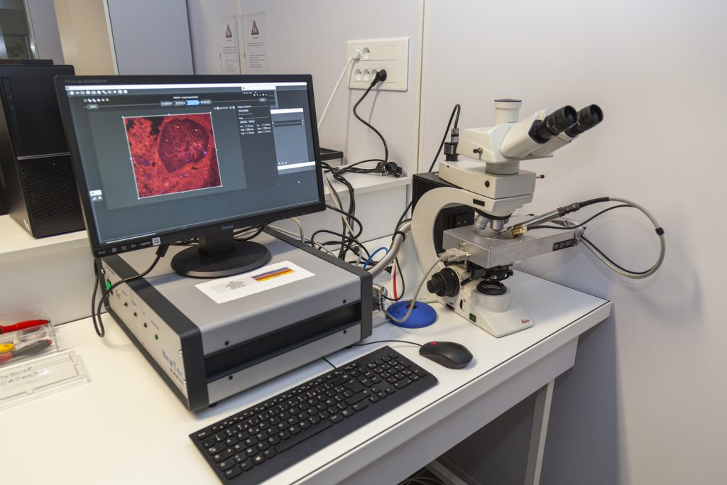 Microscope optique à cathodoluminescence Newtech