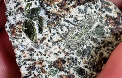Meteorite reveals oldest known planetary crust