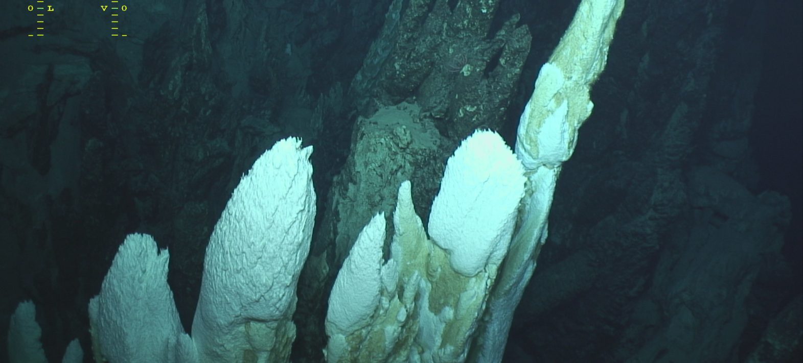 Première description des communautés microbiennes du site hydrothermal alcalin d’Old City, dorsale sud-ouest Indienne