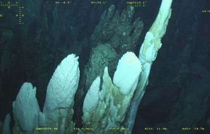 First description of the microbial communities of the Old City alkaline hydrothermal site, South-West Indian Ridge