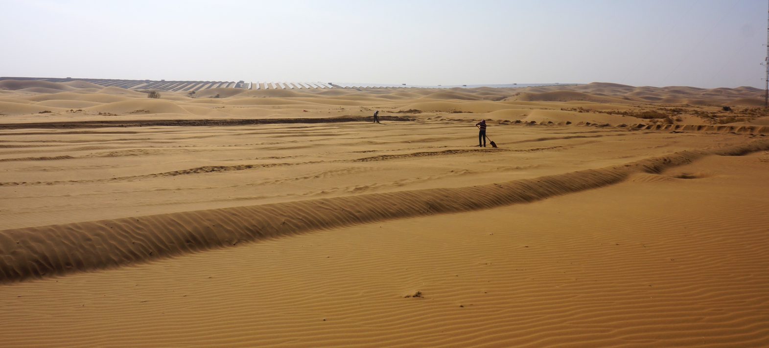 Landscape-scale experiment reveals how dune size is selected