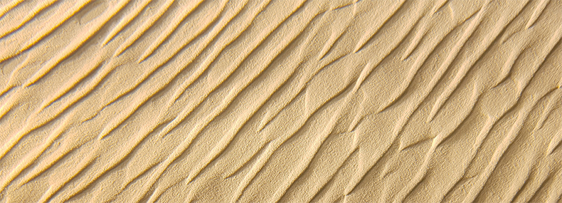 The birth of dunes under a bi-directional wind regime