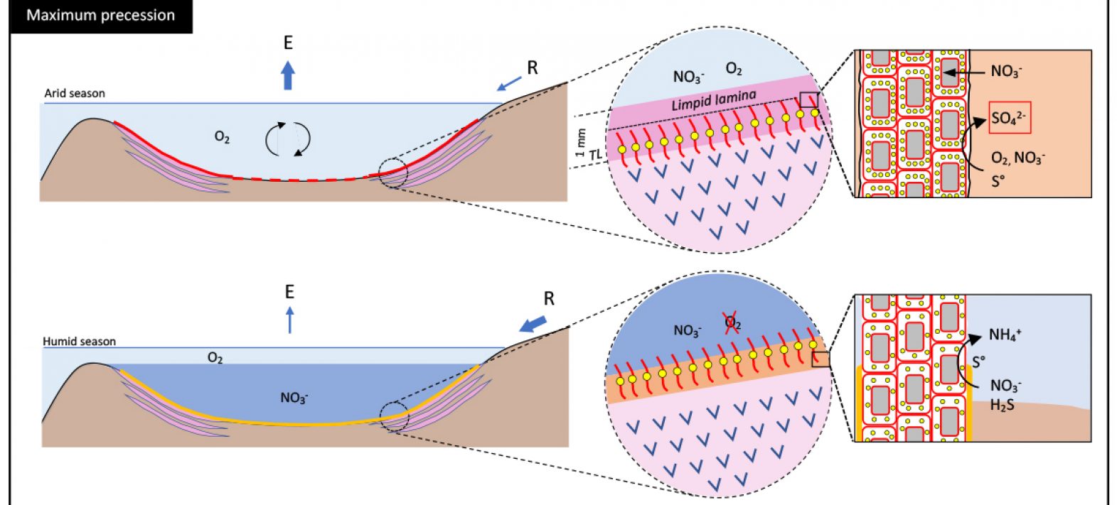 The mystery of Mediterranean low-salt gypsum deposits