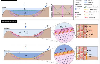 The mystery of Mediterranean low-salt gypsum deposits