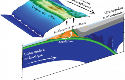 Periodic coastal uplift in a subduction context