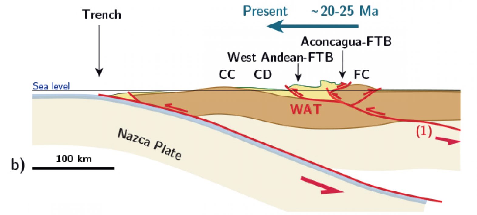 The crustal structure and kinematics of the Central Andes revisited