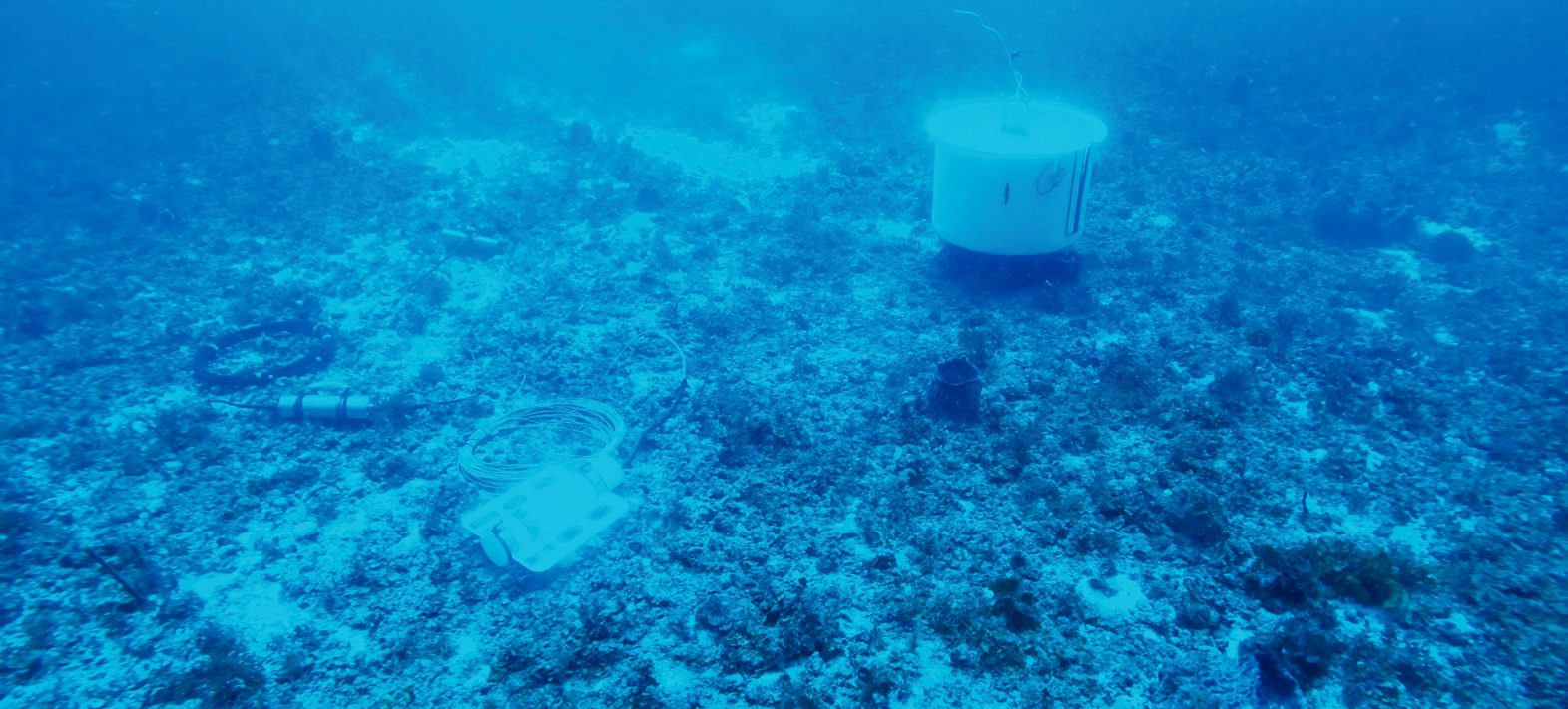 Installation réussie d’un premier observatoire sous-marin connecté en Guadeloupe