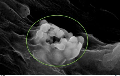 Le devenir des nanoparticules de titane dans les milieux naturels