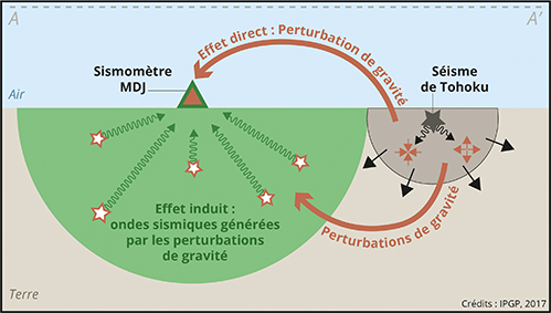 New signals preceding seismic waves: how early gravity perturbations can quantify the magnitude of strong earthquakes