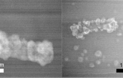 Premières observations in situ de mécanismes de biominéralisation des métaux à l’échelle de la cellule bactérienne