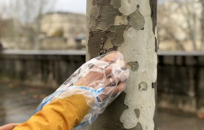 Mesurer la pollution de l'air dans l'écorce des platanes !