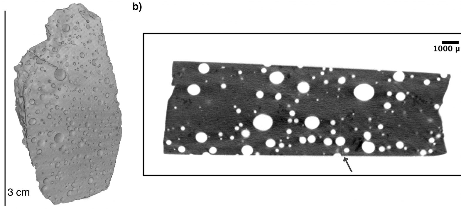 Des anomalies isotopiques en xénon dans le manteau : implications sur l’origine et l’évolution des éléments volatils terrestres