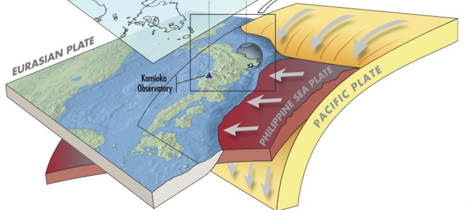 Détection d’un signal de gravité avant l’arrivée des ondes sismiques