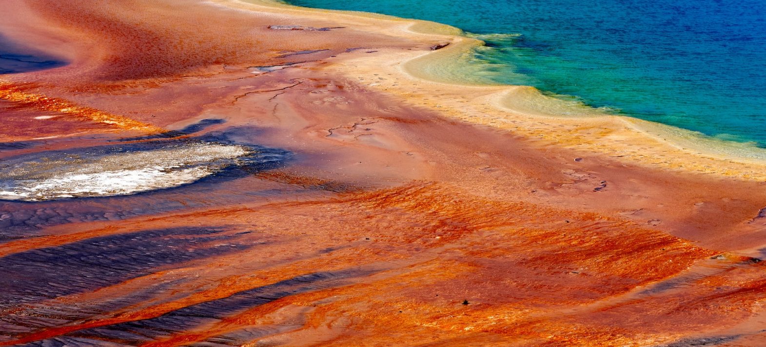 Les microfossiles archéens vivaient dans des océans à plus de 40°C