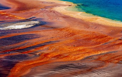 Les microfossiles archéens vivaient dans des océans à plus de 40°C