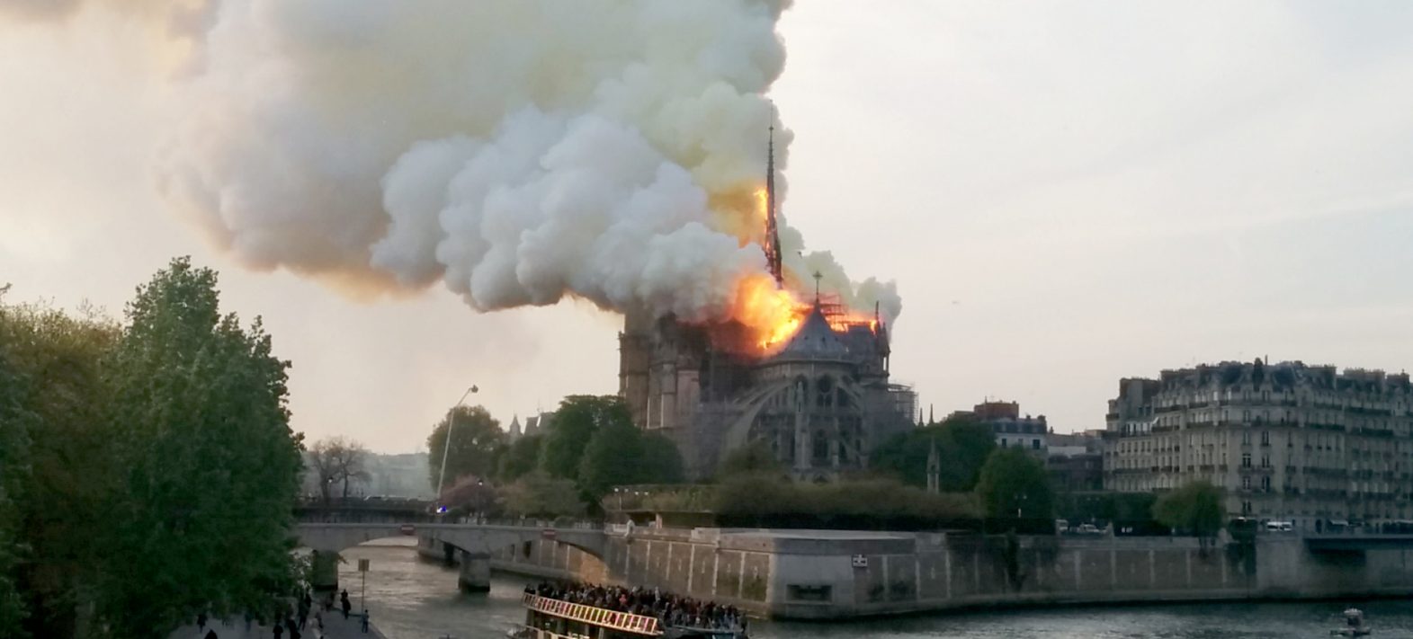 Les retombées de plomb liées à l’incendie de Notre Dame cartographiées dans le miel