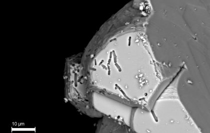 Premiers signes d’un effet vital bactérien sur les isotopes de l’oxygène des carbonates