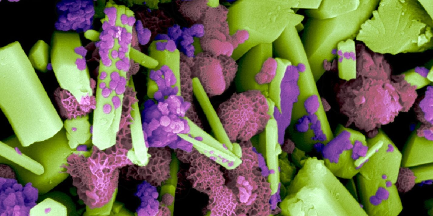 Contrôles biologiques, structurels et chimiques de la minéralisation du manganèse