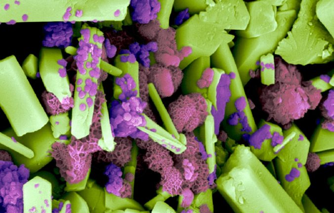 Contrôles biologiques, structurels et chimiques de la minéralisation du manganèse