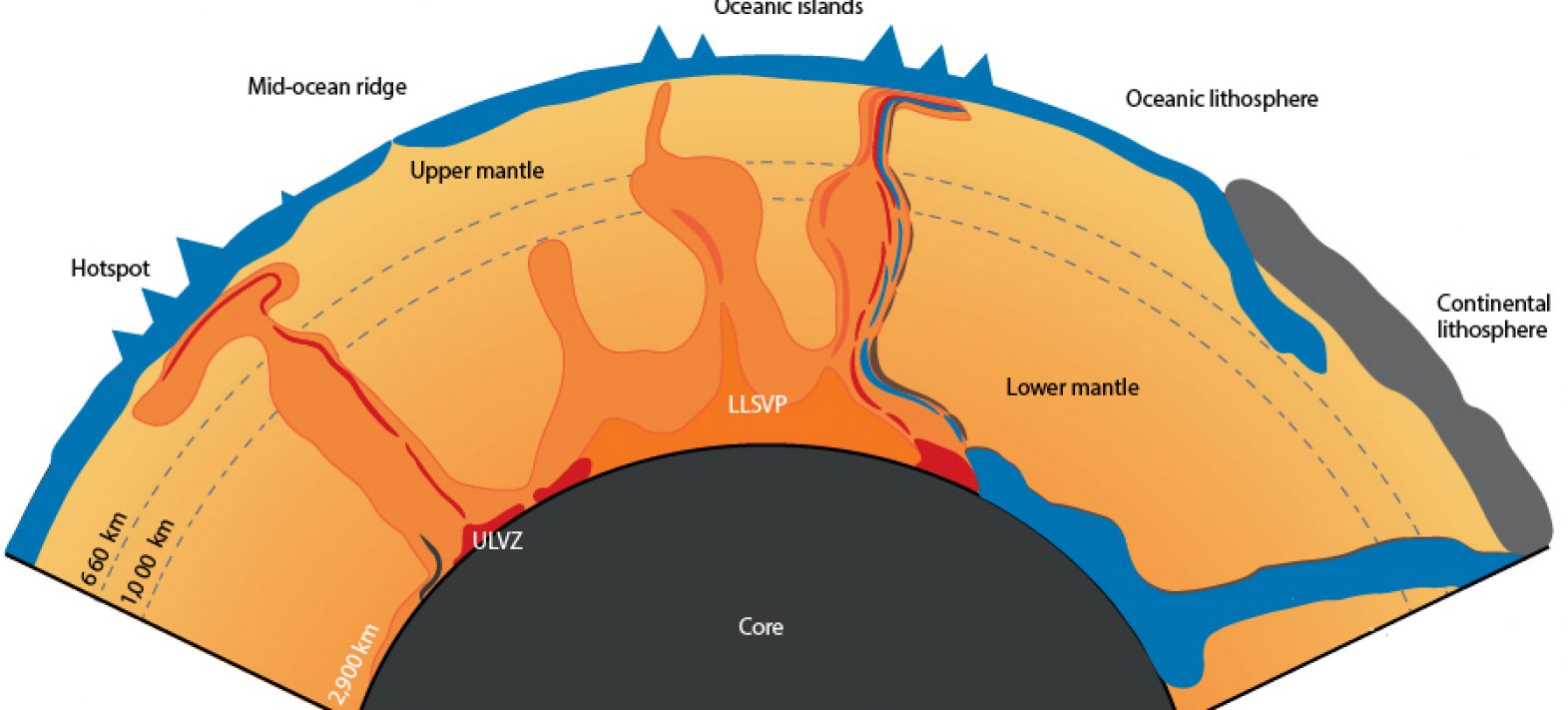 The Earth’s mantle as revealed by plume geochemistry