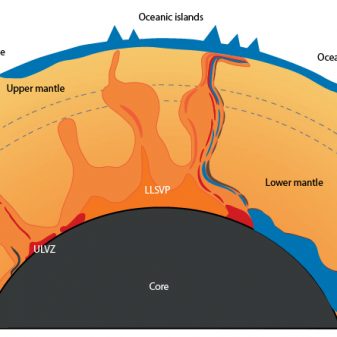 The Earth's mantle as revealed by plume geochemistry