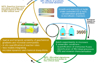 IRONSTONE: Integrating deep microbial dynamics in the critical zone.