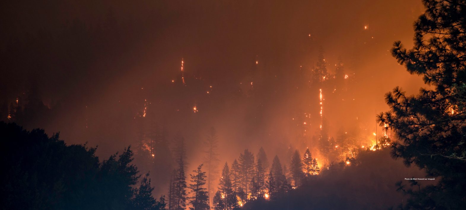 Post-FIRE : Mobilisation des polluants dans les eaux de surface post-incendie