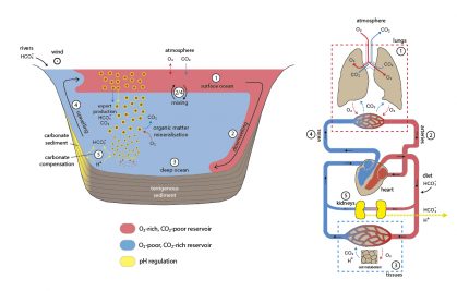 Oceans on the verge of an asthma attack?