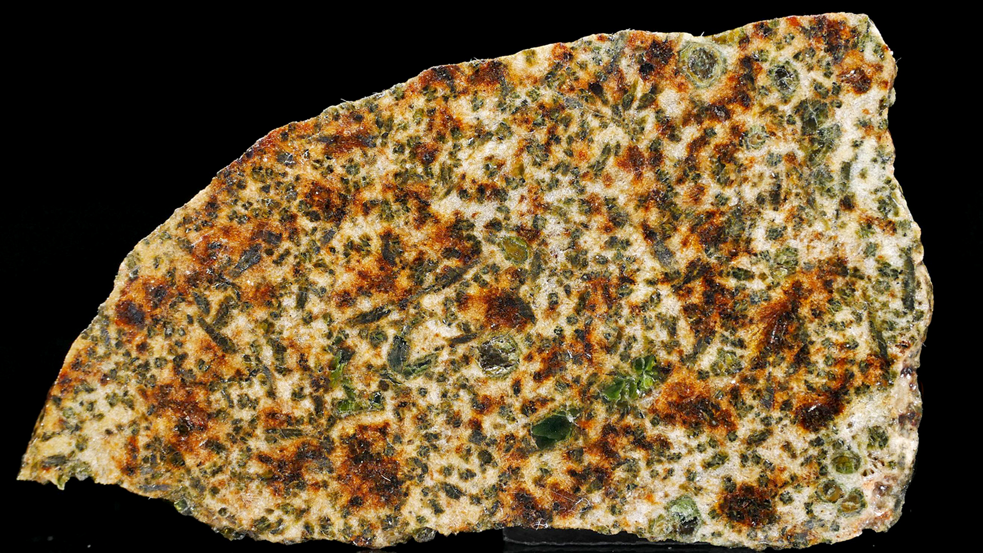 The study of a meteorite provides insights into the early stages