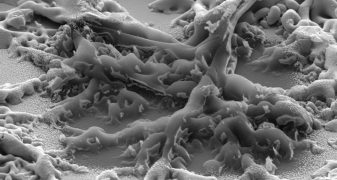 La composition isotopique de l'oxygène dans le système solaire enfin expliquée