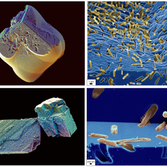 Tracking organics in (bio)carbonates – A step forward in the search for biosignatures