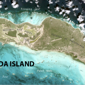 Medieval tsunami revealed by giant coral blocks in the Caribbean