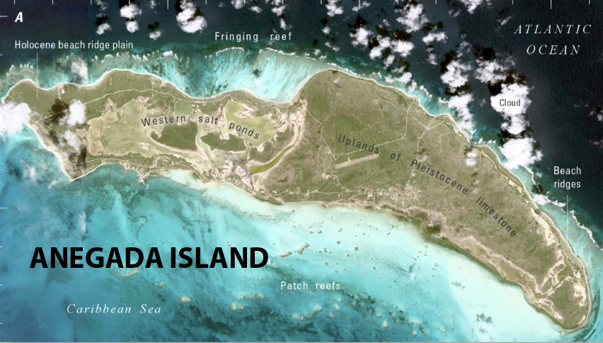 Protégé : Un tsunami médiéval révélé par des blocs de corail géants dans les Caraïbes