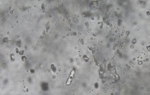 Un nouvel éclairage de l’histoire de l’atmosphère terrestre à travers les isotopes du néon et du xénon