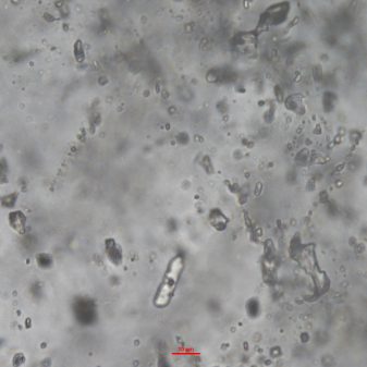 New insights into the history of Earth's atmosphere through neon and xenon isotopes.