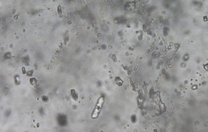 Un nouvel éclairage de l’histoire de l’atmosphère terrestre à travers les isotopes du néon et du xénon
