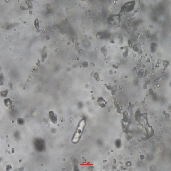 Un nouvel éclairage de l’histoire de l’atmosphère terrestre à travers les isotopes du néon et du xénon