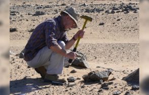 Disparition de Jean-Robert Kienast