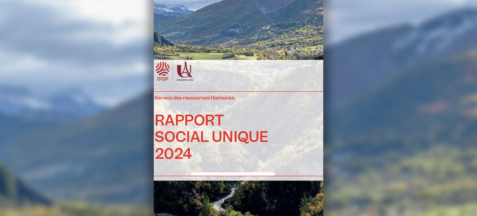 Le Rapport social unique 2024 est disponible : un éclairage sur l’égalité professionnelle femmes-hommes et les conditions de travail