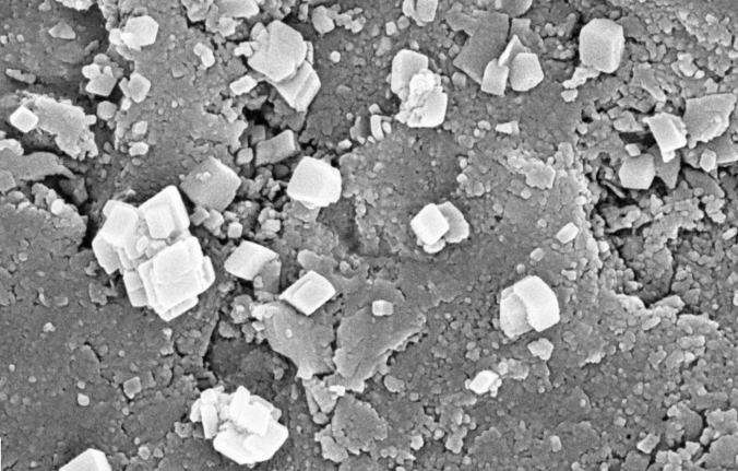 Investigating Abiotic Organic Synthesis in Archean Rocks from the Canadian Shield
