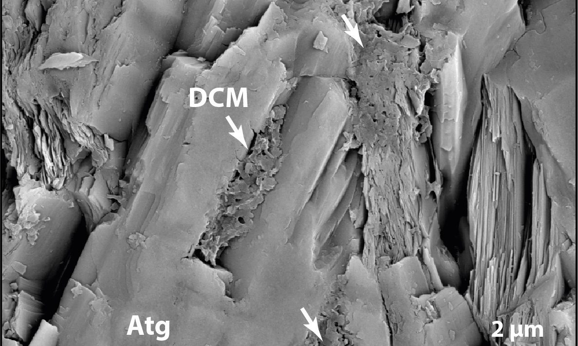 Non-biological organic carbon recycled in Earth’s depths
