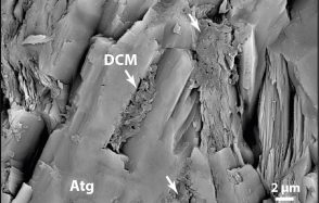Non-biological organic carbon recycled in Earth’s depths